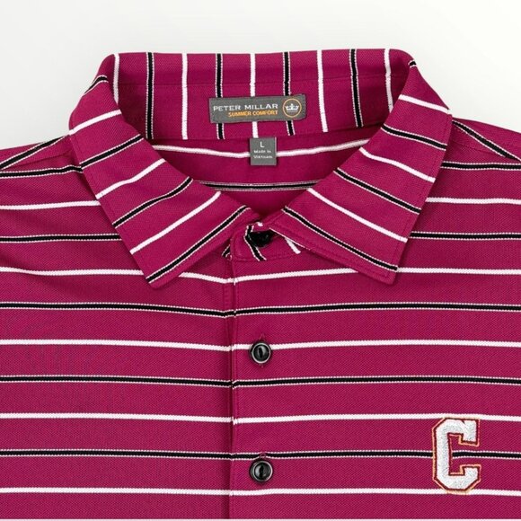 Peter Millar Summer Comfort Golf Performance Mens Pink Striped Polo Shirt Large - Picture 1 of 7